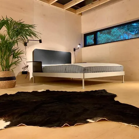 Puk Puk. W Koronach Drzew. *