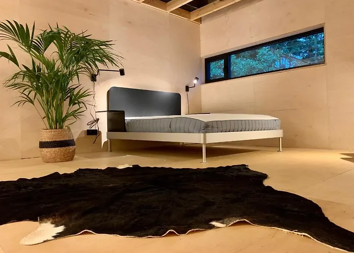 Puk Puk. W Koronach Drzew. *