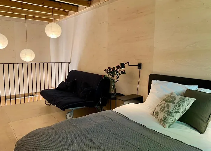 Puk Puk. W Koronach Drzew. Staniszow