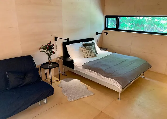 Puk Puk. W Koronach Drzew. * Staniszow