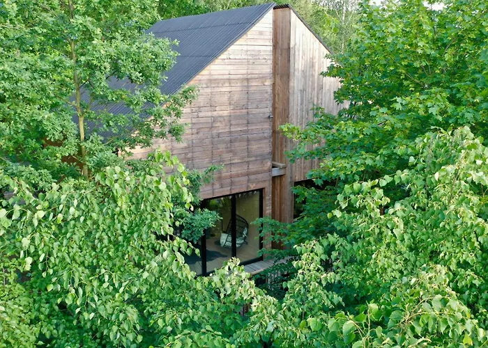 Puk Puk. W Koronach Drzew. Staniszow